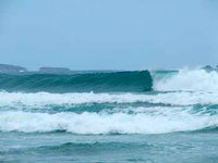 surf.jpg